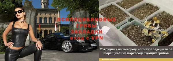 гашик Абаза