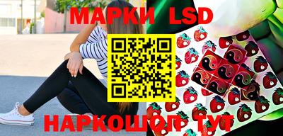 тгк Кингисепп