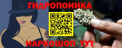 тгк Кингисепп