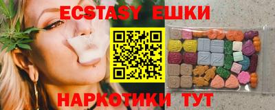 тгк Кингисепп