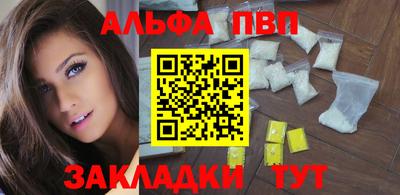 тгк Кингисепп