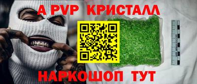 тгк Кингисепп