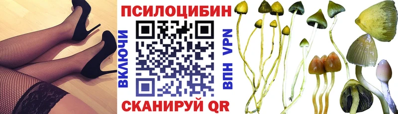 KRAKEN ссылки  Аксай  Галлюциногенные грибы ЛСД 